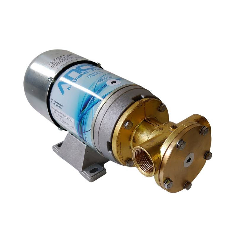 Ancor Pompa di Sentina acqua Pompa Bg80 12 Volt 137