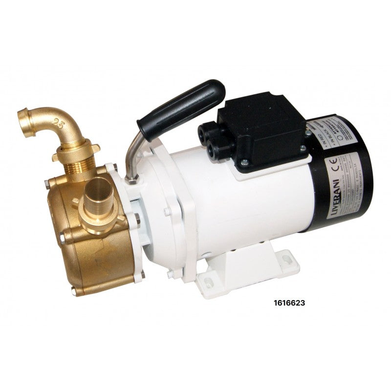 Liverani-Pumpe EP 20 Cc 12 Volt 51402000