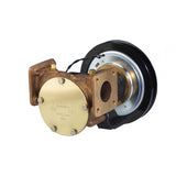 Pompa in Bronzo 1-1/2 Flangiata a Frizione Elettromagnetica