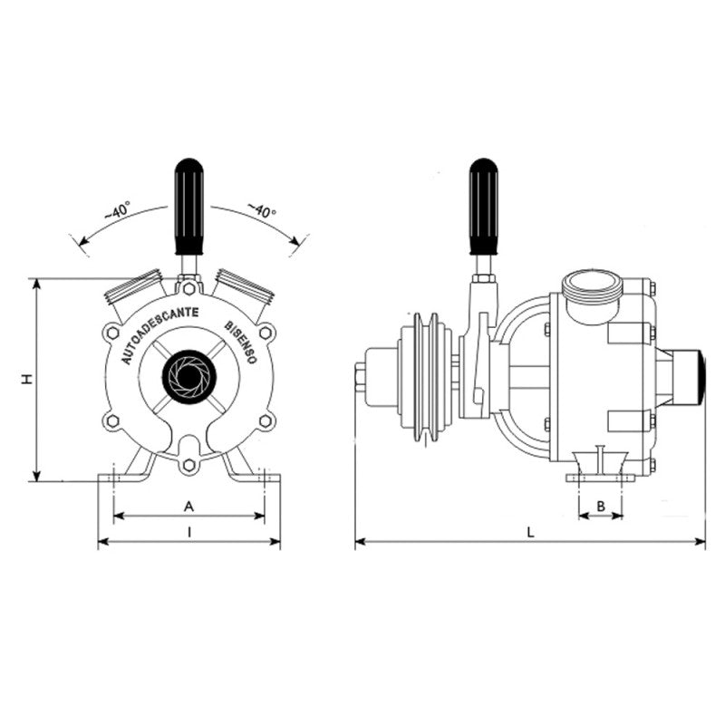 Liverani Nautic 40 F Pumpe 51144000
