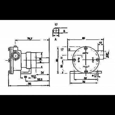 Ancor Pompa Autoadescante Pm15 273 girante raffreddamento motore