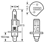 Ring Lampadina Heavy Duty 24V 70W H1