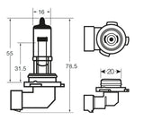 Ringförmige Halogenlampe 12V 53W H12