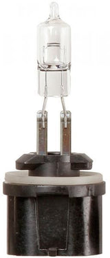 Ringlichtbirne 12V 50W