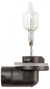 Ringlichtbirne 12V 50W