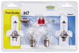 Ring Kit 12V H7 Glühbirnen