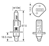 Ring-Xenonlampen 100 H1 12V 55W