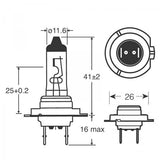 Bombillas de xenón de anillo 100 H7 12 V 55 W