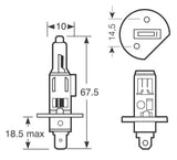 Ring-Xenonlampen 150 H1 12V