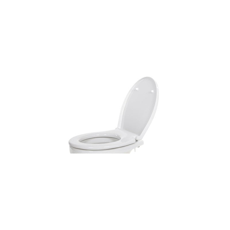 Set Asse e Coperchio Wc