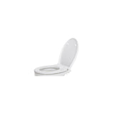 Set Asse e Coperchio Wc