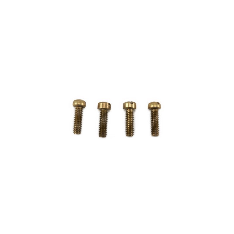 Viti per Pompe (3pz)