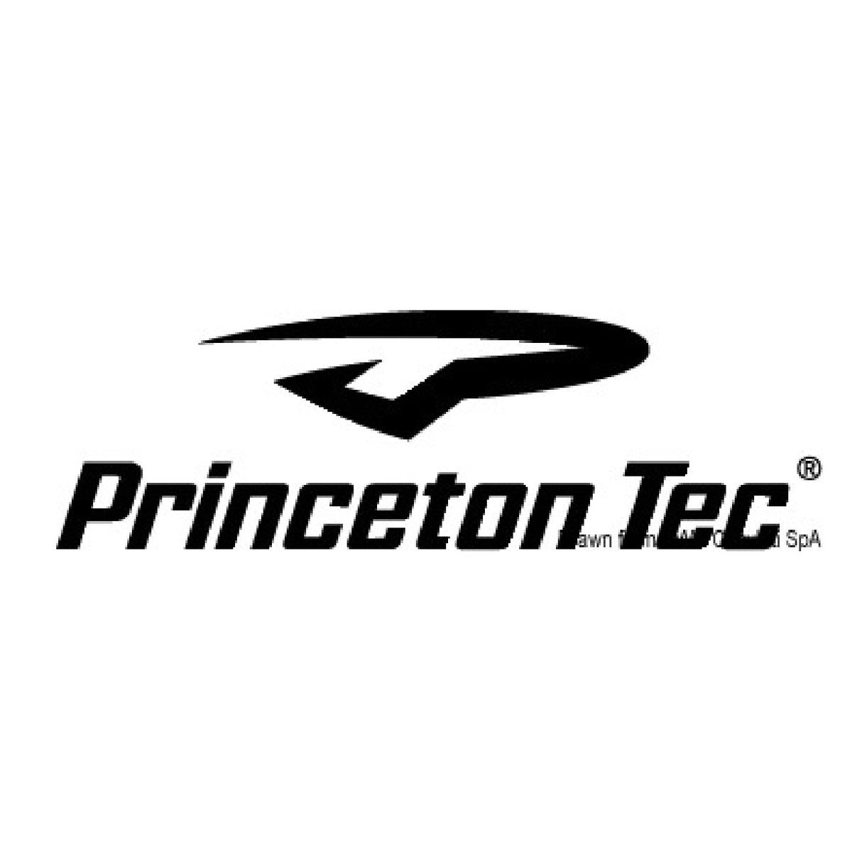 Princeton Tec Torcia subacquea IPX8 Tec 40